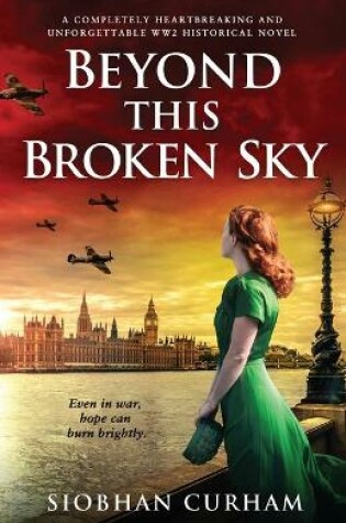 Cover of Beyond This Broken Sky