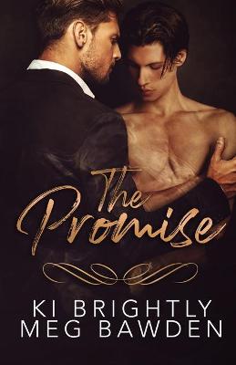 Book cover for The Promise