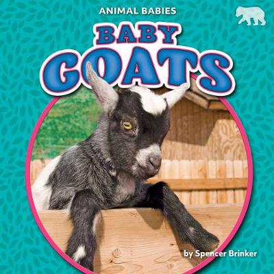 Book cover for Baby Goats