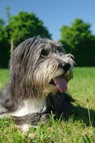 Cover of Bearded Collie Relaxing in the Sun Journal