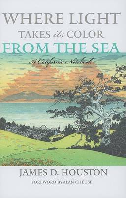 Book cover for Where Light Takes Its Color from the Sea