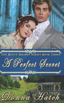 Book cover for A Perfect Secret