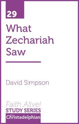 Book cover for What Zechariah Saw