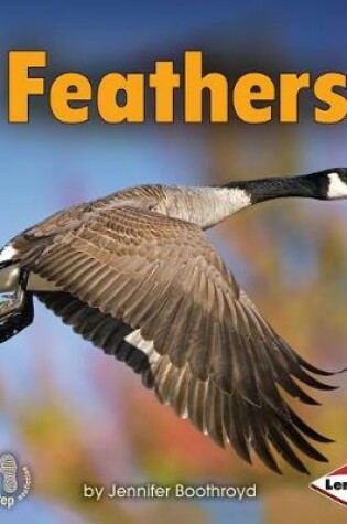 Cover of Feathers