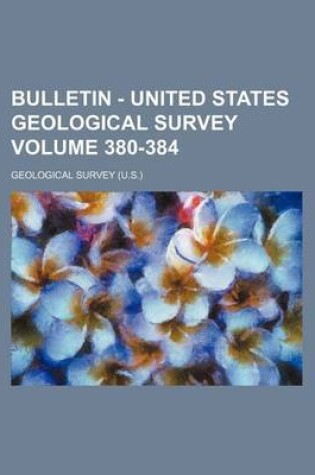 Cover of Bulletin - United States Geological Survey Volume 380-384