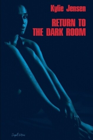 Cover of Return to the Dark Room