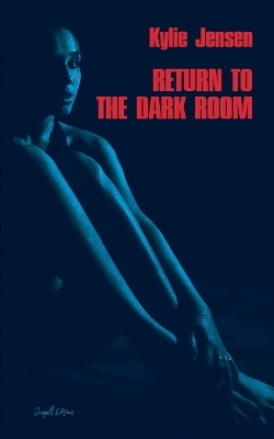 Book cover for Return to the Dark Room