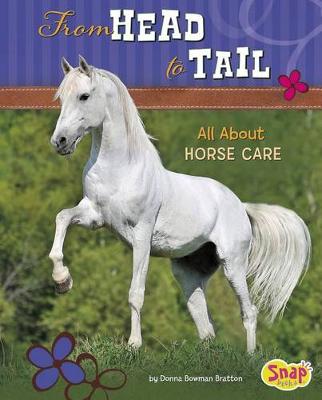 Book cover for From Head to Tail