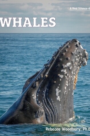 Cover of Whales