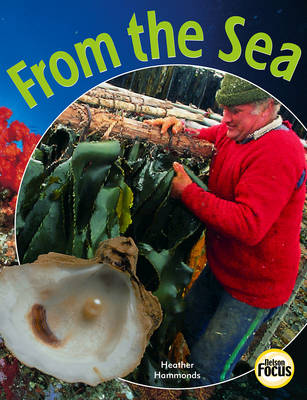 Book cover for From the Sea