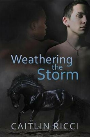 Cover of Weathering the Storm