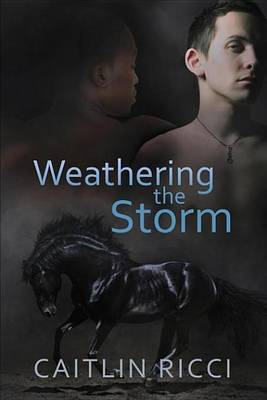 Book cover for Weathering the Storm