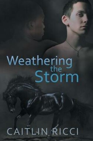 Cover of Weathering the Storm