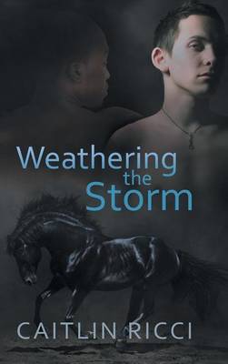 Book cover for Weathering the Storm