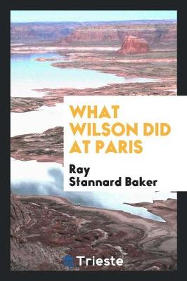 Book cover for What Wilson Did at Paris