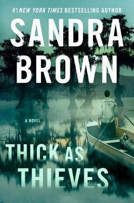 Book cover for Thick as Thieves