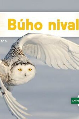 Cover of Búho Nival (Snowy Owl)