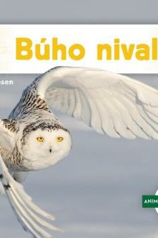 Cover of Buho Nival (Snowy Owl)