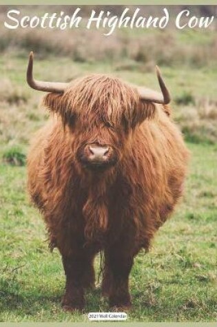 Cover of Scottish Highland Cow 2021 Wall Calendar