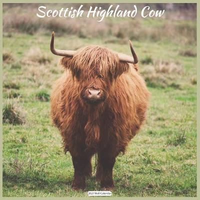 Book cover for Scottish Highland Cow 2021 Wall Calendar