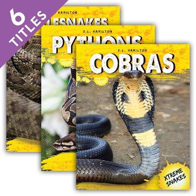 Cover of Xtreme Snakes (Set)
