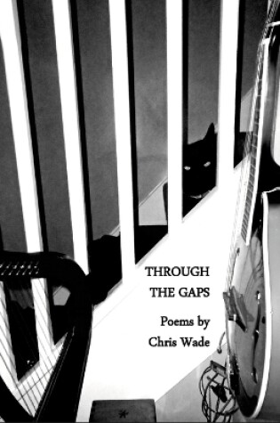 Cover of Through the Gaps