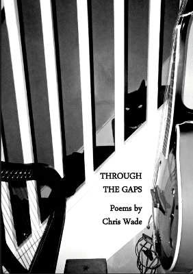 Book cover for Through the Gaps