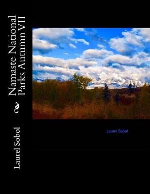 Book cover for Namaste National Parks Autumn VII