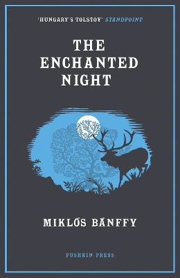 Book cover for The Enchanted Night