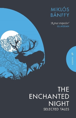 Book cover for The Enchanted Night