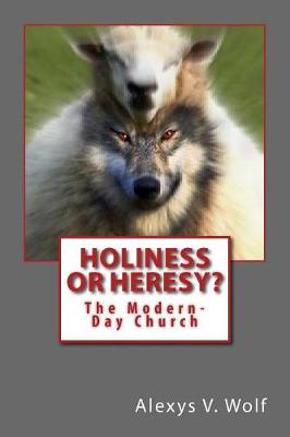 Book cover for Holiness or Heresy?