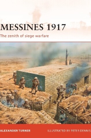 Cover of Messines 1917