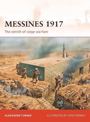 Book cover for Messines 1917