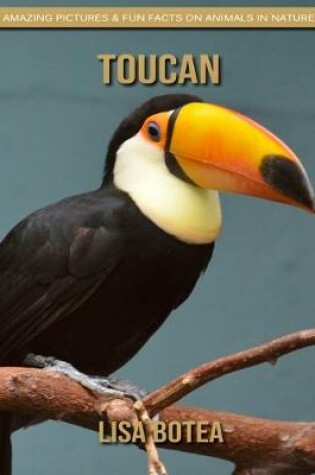 Cover of Toucan