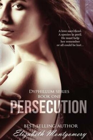 Cover of Persecution