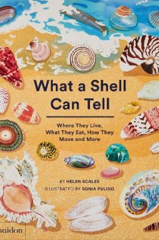 Cover of What A Shell Can Tell