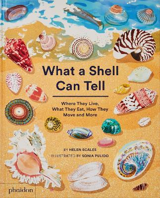 Book cover for What A Shell Can Tell
