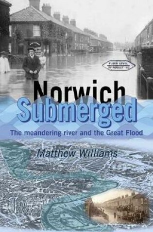 Cover of Norwich Submerged