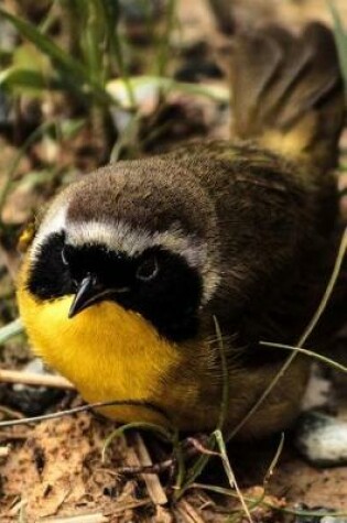 Cover of Common Yellowthroat Warbler Songbird Bird Journal (Geothlypis Trichas)