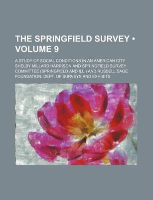 Book cover for The Springfield Survey (Volume 9); A Study of Social Conditions in an American City