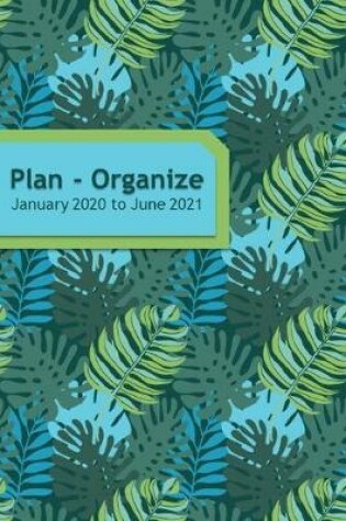 Cover of Plan - Organize - January 2020 to June 2021