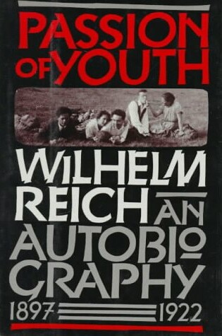 Cover of Passion of Youth