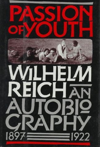 Book cover for Passion of Youth