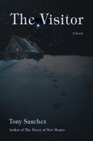 Cover of The Visitor