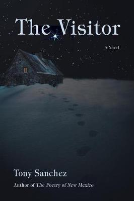 Book cover for The Visitor