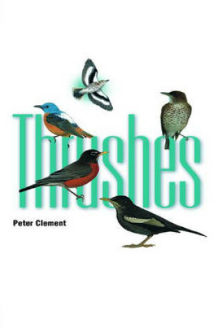 Cover of Thrushes