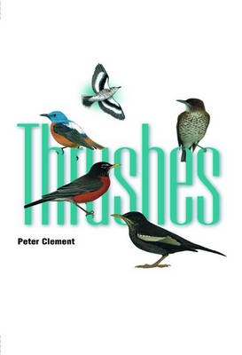 Book cover for Thrushes