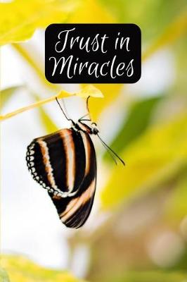 Book cover for Trust in Miracles