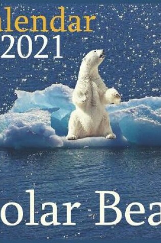 Cover of Polar Bear