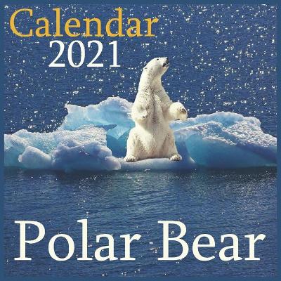 Book cover for Polar Bear